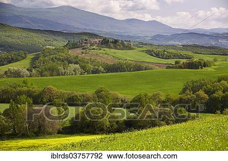 "Hilly landscape of the Crete Senesi region, Torrenieri, Montalcino, Province of Siena, Tuscany, Italy, Europe" View Large Photo Image Stock Image - "Hilly landscape of the Crete Senesi region, Torrenieri, Montalcino, Province of Siena, Tuscany, Italy, Europe". Fotosearch