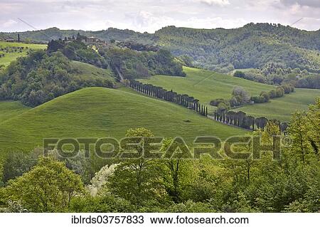 "Hilly landscape of the Crete Senesi region, Moccia, Chiusure, Province of Siena, Tuscany, Italy, Europe" View Large Photo Image Stock Image - "Hilly landscape of the Crete Senesi region, Moccia, Chiusure, Province of Siena, Tuscany, Italy, Europe". Fotosearch
