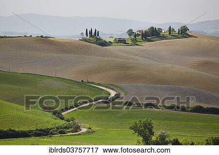 "Hilly landscape of the Crete Senesi region, Taverne d'Arbia, Province of Siena, Tuscany, Italy, Europe" View Large Photo Image Stock Photo - "Hilly landscape of the Crete Senesi region, Taverne d'Arbia, Province of Siena, Tuscany, Italy, Europe". Fotosearch