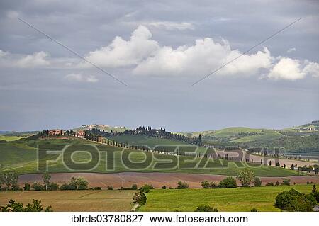 "Hilly landscape of the Crete Senesi, Casetta, Taverne d'Arbia, Tuscany, Italy, Europe" View Large Photo Image Stock Photo - "Hilly landscape of the Crete Senesi, Casetta, Taverne d'Arbia, Tuscany, Italy, Europe". Fotosearch