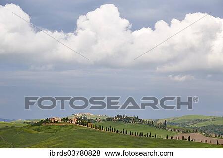 "Hilly landscape of the Crete Senesi, Casetta, Taverne d'Arbia, Tuscany, Italy, Europe" View Large Photo Image Stock Photo - "Hilly landscape of the Crete Senesi, Casetta, Taverne d'Arbia, Tuscany, Italy, Europe". Fotosearch