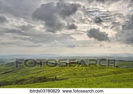 "Hilly landscape of the Crete Senesi, Vescona Monteaperti, Tuscany, Italy, Europe" View Large Photo Image Stock Photo - "Hilly landscape of the Crete Senesi, Vescona Monteaperti, Tuscany, Italy, Europe". Fotosearch