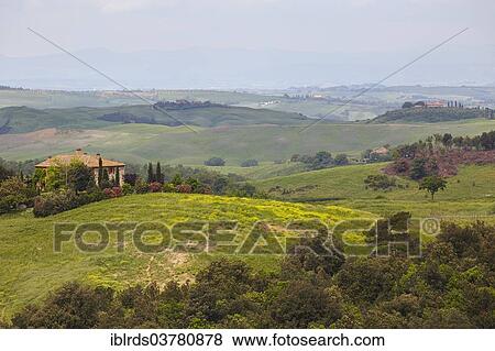 "Hilly landscape of the Crete Senesi, Trequanda, Tuscany, Italy, Europe" View Large Photo Image Stock Photo - "Hilly landscape of the Crete Senesi, Trequanda, Tuscany, Italy, Europe". Fotosearch