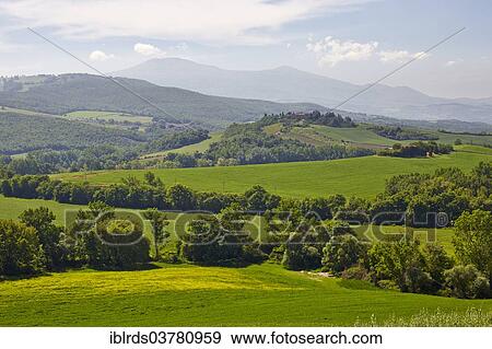 "Hilly landscape of the Crete Senesi, Torrenieri, Tuscany, Italy, Europe" View Large Photo Image Stock Photo - "Hilly landscape of the Crete Senesi, Torrenieri, Tuscany, Italy, Europe". Fotosearch