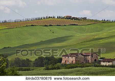"Hilly landscape of the Crete Senesi, Asciano, Arbia, Tuscany, Italy, Europe" View Large Photo Image Stock Photograph - "Hilly landscape of the Crete Senesi, Asciano, Arbia, Tuscany, Italy, Europe". Fotosearch