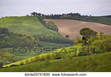 "Hilly landscape of the Crete Senesi region, Moccia, Chiusure, Province of Siena, Tuscany, Italy, Europe" View Large Photo Image Stock Photography - "Hilly landscape of the Crete Senesi region, Moccia, Chiusure, Province of Siena, Tuscany, Italy, Europe". Fotosearch