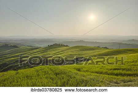 "Hilly landscape of the Crete Senesi, Vescona Monteaperti, Tuscany, Italy, Europe" View Large Photo Image Stock Photography - "Hilly landscape of the Crete Senesi, Vescona Monteaperti, Tuscany, Italy, Europe". Fotosearch