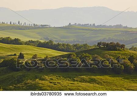 "Hilly landscape of the Crete Senesi, Castelmuzio, Tuscany, Italy, Europe" View Large Photo Image Stock Photography - "Hilly landscape of the Crete Senesi, Castelmuzio, Tuscany, Italy, Europe". Fotosearch