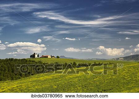 "Hilly landscape of the Crete Senesi, San Quirico d'Orcia, Tuscany, Italy, Europe" View Large Photo Image Stock Photography - "Hilly landscape of the Crete Senesi, San Quirico d'Orcia, Tuscany, Italy, Europe". Fotosearch