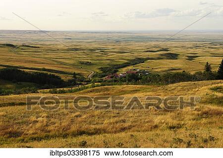 "Hilly landscape of the prairie with a cattle ranch, Cypress Hills, Saskatchewan Province, Canada, North America" View Large Photo Image Stock Photography - "Hilly landscape of the prairie with a cattle ranch, Cypress Hills, Saskatchewan Province, Canada, North America". Fotosearch
