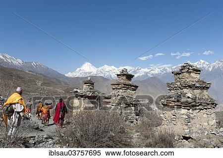 "Hindu pilgrims, old chortens, Tibetan Buddhism and Hinduism, Mt Dhaulagiri, 8167 m, at back, Muktinath temple district, Lower Mustang, Nepal, Asia" View Large Photo Image Stock Photography - "Hindu pilgrims, old chortens, Tibetan Buddhism and Hinduism, Mt Dhaulagiri, 8167 m, at back, Muktinath temple district, Lower Mustang, Nepal, Asia". Fotosearch