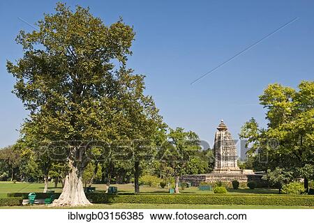 "Hindu temple amidsts trees, western group of Khajuraho temple district, Khajuraho Group of Monuments, UNESCO World Heritage Site, Khajuraho, Madhya Pradesh, India, Asia" View Large Photo Image Stock Photography - "Hindu temple amidsts trees, western group of Khajuraho temple district, Khajuraho Group of Monuments, UNESCO World Heritage Site, Khajuraho, Madhya Pradesh, India, Asia". Fotosearch