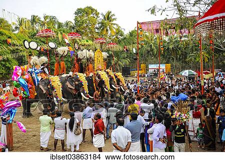 "Hindu temple festival with many elephants, Thrissur, Kerala, South India, India, Asia" View Large Photo Image Picture - "Hindu temple festival with many elephants, Thrissur, Kerala, South India, India, Asia". Fotosearch