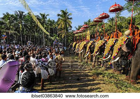 Stock Image - "Hindu temple festival with many elephants, Thrissur, Kerala, South India, India, Asia". Fotosearch