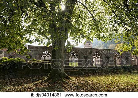 "Hirsau, former monastery of St. Peter and Paul, Romanesque, near Calw, Black Forest, Baden-Wurttemberg, Germany, Europe" View Large Photo Image Stock Image - "Hirsau, former monastery of St. Peter and Paul, Romanesque, near Calw, Black Forest, Baden-Wurttemberg, Germany, Europe". Fotosearch