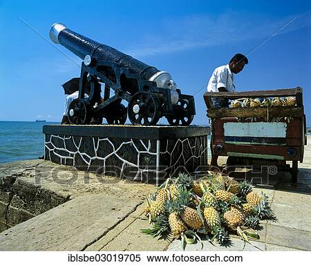 "Historic cannon next to a pineapple seller on the west shore promenade of Galle Face Drive, Fort District, Colombo, Westprovinz, Sri Lanka, Asia" View Large Photo Image Stock Photography - "Historic cannon next to a pineapple seller on the west shore promenade of Galle Face Drive, Fort District, Colombo, Westprovinz, Sri Lanka, Asia". Fotosearch