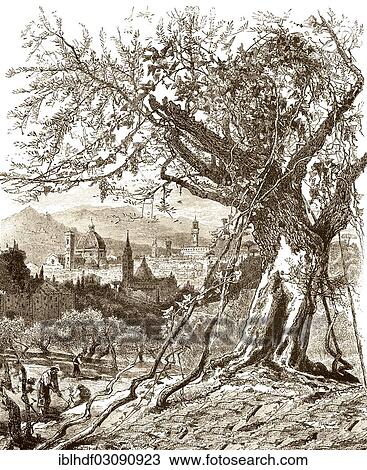 "Historic drawing, city of Florence, 19th Century, Florenz, Toscana, Toskana, Italy, Europe" View Large Photo Image Stock Image - "Historic drawing, city of Florence, 19th Century, Florenz, Toscana, Toskana, Italy, Europe". Fotosearch