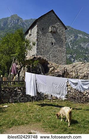 "Historic Kulla, blood revenge tower at Thethi or Theth, Theth National Park, Albanian Alps, Albania, The Balkans, Europe" View Large Photo Image Stock Photo - "Historic Kulla, blood revenge tower at Thethi or Theth, Theth National Park, Albanian Alps, Albania, The Balkans, Europe". Fotosearch