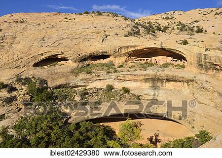"Historic Native American cliff dwellings, Butler Wash Ruins, Utah, USA, North America" View Large Photo Image Stock Image - "Historic Native American cliff dwellings, Butler Wash Ruins, Utah, USA, North America". Fotosearch