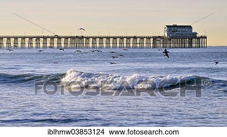 "Historic Oceanside Pier in the morning light, Oceanside, San Diego County, California, United States, North America" View Large Photo Image Picture - "Historic Oceanside Pier in the morning light, Oceanside, San Diego County, California, United States, North America". Fotosearch