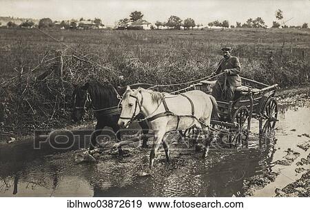 "Historic photograph, German soldier transporting the mail with a horse-drawn carriage along a muddy road, World War I, Romania, Europe" View Large Photo Image Stock Photo - "Historic photograph, German soldier transporting the mail with a horse-drawn carriage along a muddy road, World War I, Romania, Europe". Fotosearch