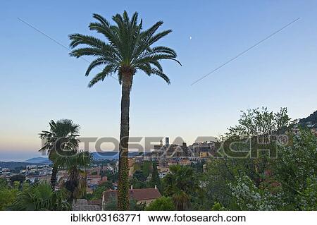 "Historic town centre of Grasse with palm trees, Grasse, Departement Alpes-Maritimes, Region Provence-Alpes-Cote d? ÇÖAzur, France, Europe" View Large Photo Image Stock Image - "Historic town centre of Grasse with palm trees, Grasse, Departement Alpes-Maritimes, Region Provence-Alpes-Cote d? ÇÖAzur, France, Europe". Fotosearch