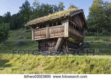 Stock Photography - "Historic wooden house with a roof covered by vegetation, Rygnestad museum village, Rygnestad, Setesdal, Aust-Agder, Southern Norway, Norway, Europe". Fotosearch