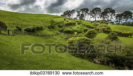 "Hobbiton movie set, location for the Lord of the Rings and The Hobbit films, near Matamata, North Island, New Zealand, Oceania" View Large Photo Image Stock Image - "Hobbiton movie set, location for the Lord of the Rings and The Hobbit films, near Matamata, North Island, New Zealand, Oceania". Fotosearch