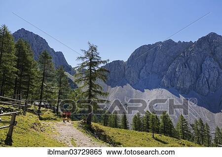 "Hochstuhl Group, Matschacher Alm mountain pasture, Baerental or Bear Valley, Karawanks, Feistritz im Rosental, Carinthia, Austria, Europe" View Large Photo Image Stock Photography - "Hochstuhl Group, Matschacher Alm mountain pasture, Baerental or Bear Valley, Karawanks, Feistritz im Rosental, Carinthia, Austria, Europe". Fotosearch