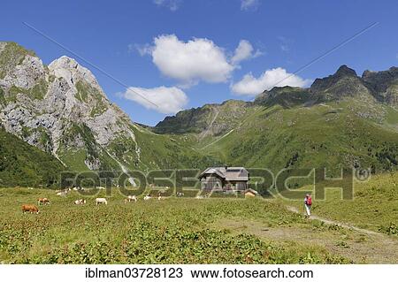 Stock Image - "Hochweisssteinhaus mountain hut, Zwoelferspitz Mountain on the right, Carnic Alps, Lesachtal, Bezirk Hermagor, Karnten, Austria, Europe". Fotosearch