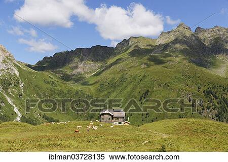 "Hochweisssteinhaus mountain hut, Zwoelferspitz Mountain on the right, Karnische Alpen, Osterreich, Lesachtal, Bezirk Hermagor, Karnten, Austria, Europe" View Large Photo Image Stock Photography - "Hochweisssteinhaus mountain hut, Zwoelferspitz Mountain on the right, Karnische Alpen, Osterreich, Lesachtal, Bezirk Hermagor, Karnten, Austria, Europe". Fotosearch