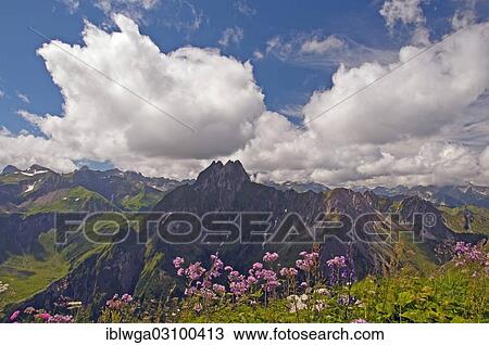 "Hoefats Mountain, 2259m, view from Laufbacher Eck-Weg hiking trail, Allgau, Allgauer Alpen, Bavaria, Germany, Europe" View Large Photo Image Stock Image - "Hoefats Mountain, 2259m, view from Laufbacher Eck-Weg hiking trail, Allgau, Allgauer Alpen, Bavaria, Germany, Europe". Fotosearch