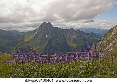 Stock Image - "Hoefats Mountain, 2259m, view from Laufbacher Eck-Weg hiking trail, Allgau, Allgauer Alpen, Bavaria, Germany, Europe". Fotosearch