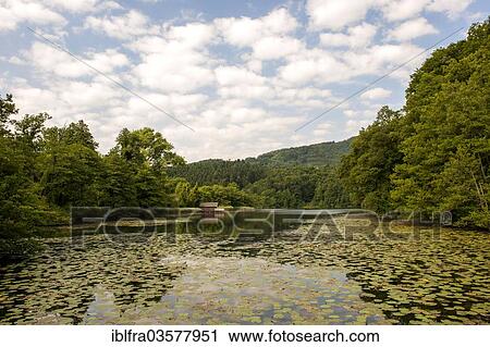 "Hoeglwoerther See Lake, Berchtesgadener Land District, Upper Bavaria, Bavaria, Germany, Europe" View Large Photo Image Stock Image - "Hoeglwoerther See Lake, Berchtesgadener Land District, Upper Bavaria, Bavaria, Germany, Europe". Fotosearch