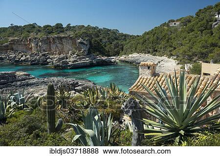 "Holiday homes with cacti at a bay, Cala s’Almunia, Santanyi, Majorca, Balearic Islands, Spain, Europe" View Large Photo Image Stock Photo - "Holiday homes with cacti at a bay, Cala s’Almunia, Santanyi, Majorca, Balearic Islands, Spain, Europe". Fotosearch