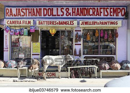 Stock Photo - "Holy cow and calf in front of a souvenir shop, Amber, Jaipur, Rajasthan, India, Asia". Fotosearch