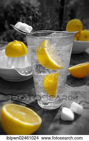Home-made lemonade View Large Photo Image Picture - Home-made lemonade. Fotosearch