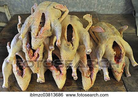 "Home slaughtering, freshly slaughtered and plucked ducks, Middle Franconia, Bavaria, Germany, Europe" View Large Photo Image Stock Photograph - "Home slaughtering, freshly slaughtered and plucked ducks, Middle Franconia, Bavaria, Germany, Europe". Fotosearch