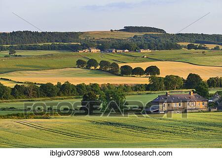 Stock Photo - "Homestead in a typical landscape, Northumberland, England, United Kingdom, Europe". Fotosearch