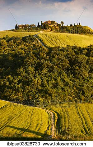 Stock Image - "Homestead on a hill of Crete Senesi, Tuscany, Italy, Europe". Fotosearch
