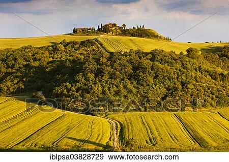 Stock Photo - "Homestead on a hill of Crete Senesi, Tuscany, Italy, Europe". Fotosearch