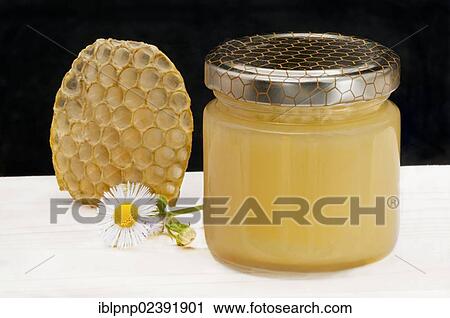 "Honey comb, daisy flower, honey glass jar" View Large Photo Image Stock Image - "Honey comb, daisy flower, honey glass jar". Fotosearch