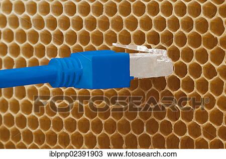 Honey comb with ethernet LAN plug View Large Photo Image Stock Image - Honey comb with ethernet LAN plug. Fotosearch