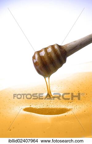Picture - Honey spoon in honey. Fotosearch