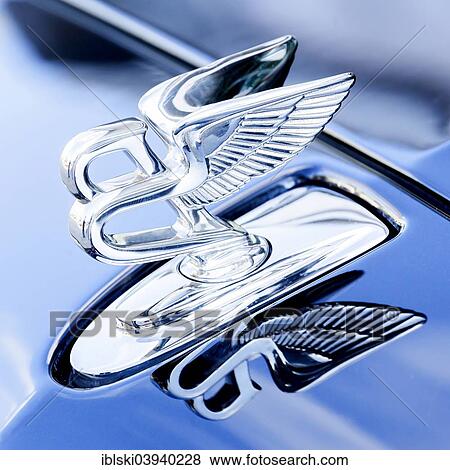 Stock Photo - "Hood ornament Flying B on a luxury vehicle of the British car manufacturer Bentley, 65th International Motor Show IAA 2013, Frankfurt am Main, Hesse, Germany, Europe". Fotosearch
