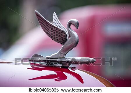 "Hood ornament of an old American road cruiser, Havana, Cuba, North America" View Large Photo Image Stock Photography - "Hood ornament of an old American road cruiser, Havana, Cuba, North America". Fotosearch