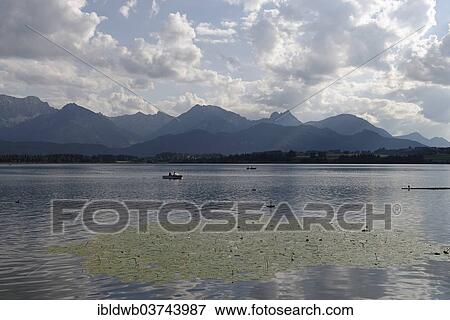 "Hopfen am See on Hopfensee Lake also Hopfen Lake, Hopfen am See, Fussen, Ostallgau, Allgau, Schwabia, Bavaria, Germany, Europe" View Large Photo Image Stock Photo - "Hopfen am See on Hopfensee Lake also Hopfen Lake, Hopfen am See, Fussen, Ostallgau, Allgau, Schwabia, Bavaria, Germany, Europe". Fotosearch
