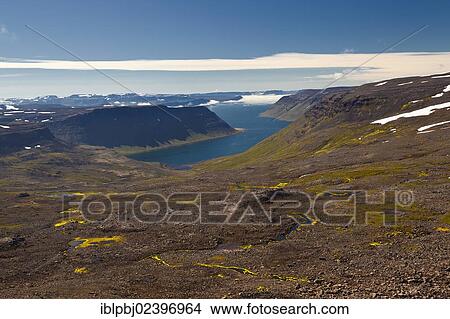 "Hornstrandir, Westfjords, West Iceland, Iceland, Europe" View Large Photo Image Picture - "Hornstrandir, Westfjords, West Iceland, Iceland, Europe". Fotosearch