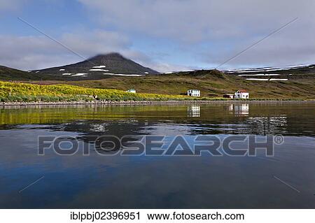 "Hornstrandir, Westfjords, West Iceland, Iceland, Europe" View Large Photo Image Stock Image - "Hornstrandir, Westfjords, West Iceland, Iceland, Europe". Fotosearch