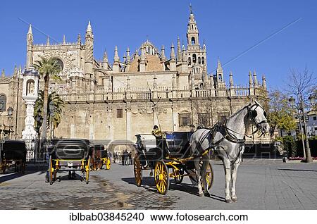 Stock Image - "Horse and carriage, Plaza del Triunfo square, Santa Maria de la Sede Cathedral, Seville, Andalusia, Spain, Europe". Fotosearch
